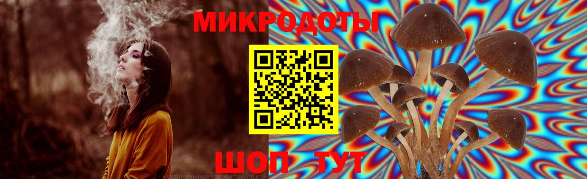 Галлюциногенные грибы GOLDEN TEACHER  Вход с VPN  Горячий Ключ 